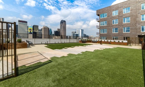 a grassy area with buildings in the background